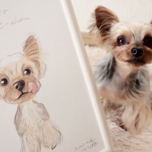 Instagramで人気のnuitちゃんとのコラボ